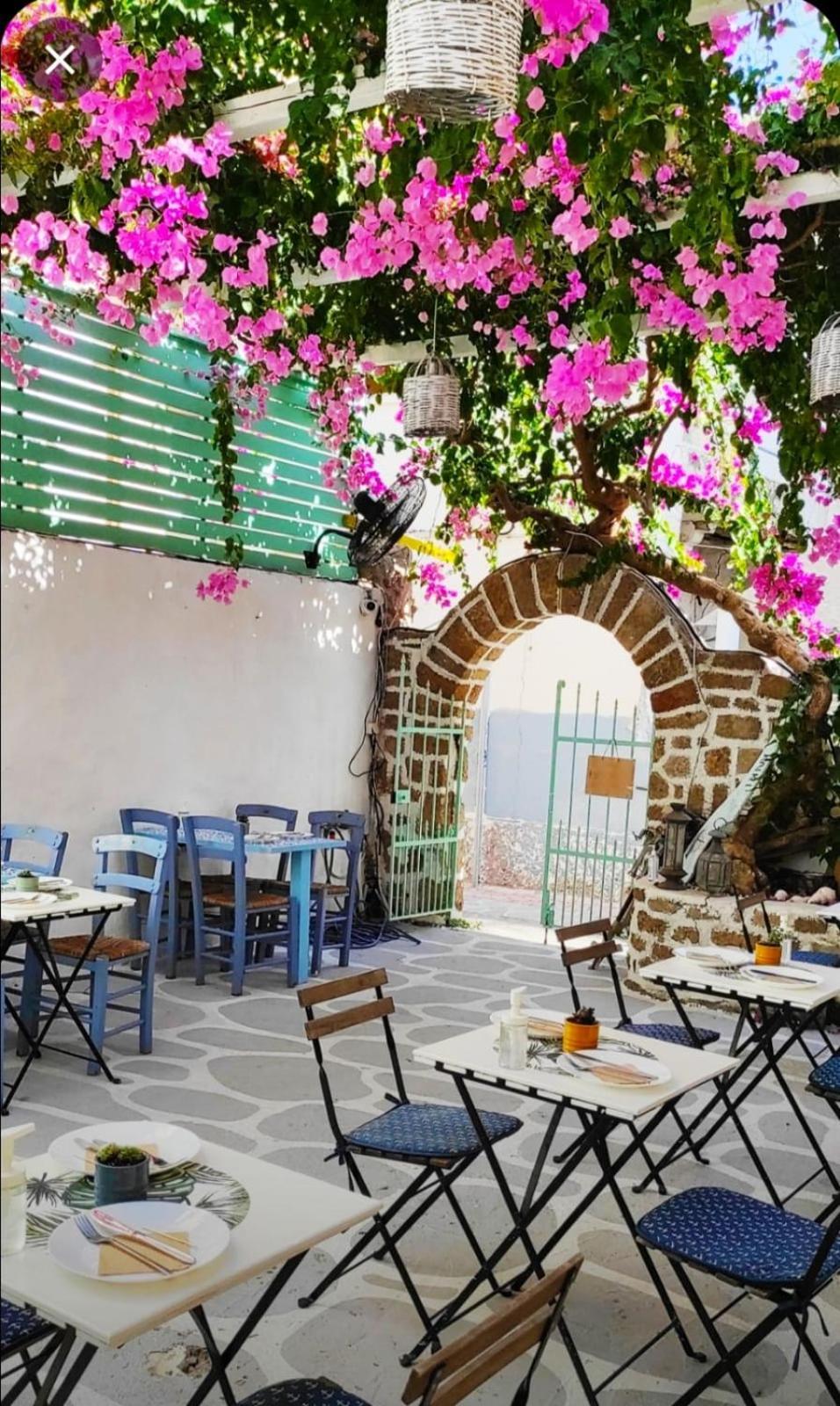 Hotel Galanopetra Rhodes Greece Rhodes City Exterior foto